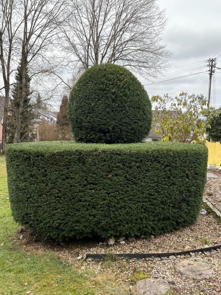 galapflege (39)