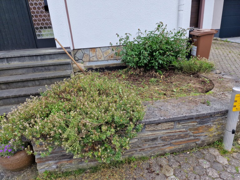 galapflege (5)